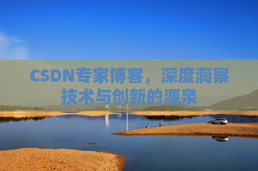 CSDN专家博客，深度洞察技术与创新的源泉